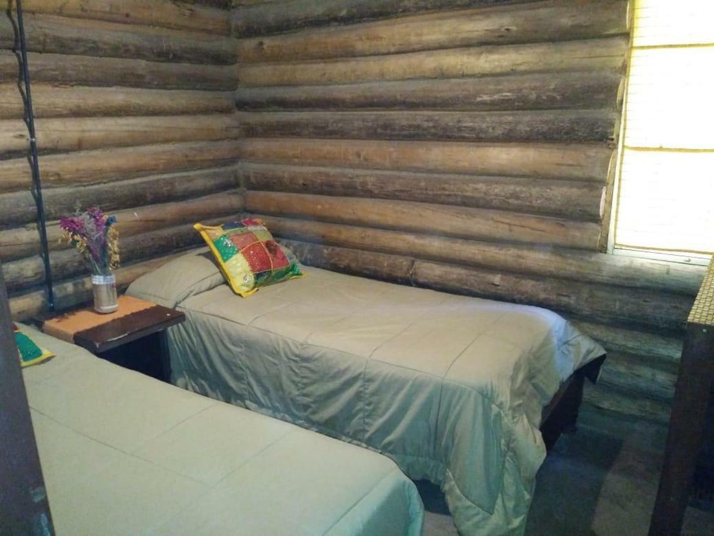 Cabanas Alto Bermejo Villa Mendoza Eksteriør billede