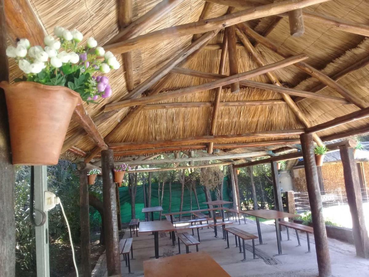 Cabanas Alto Bermejo Villa Mendoza Eksteriør billede